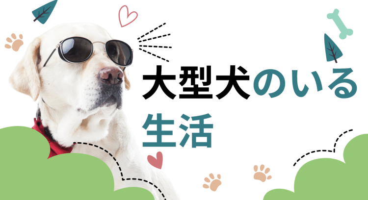 cook 今日なに作ろ？